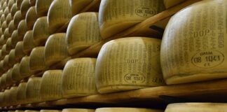 Czym się różni grana padano od Parmigiano?